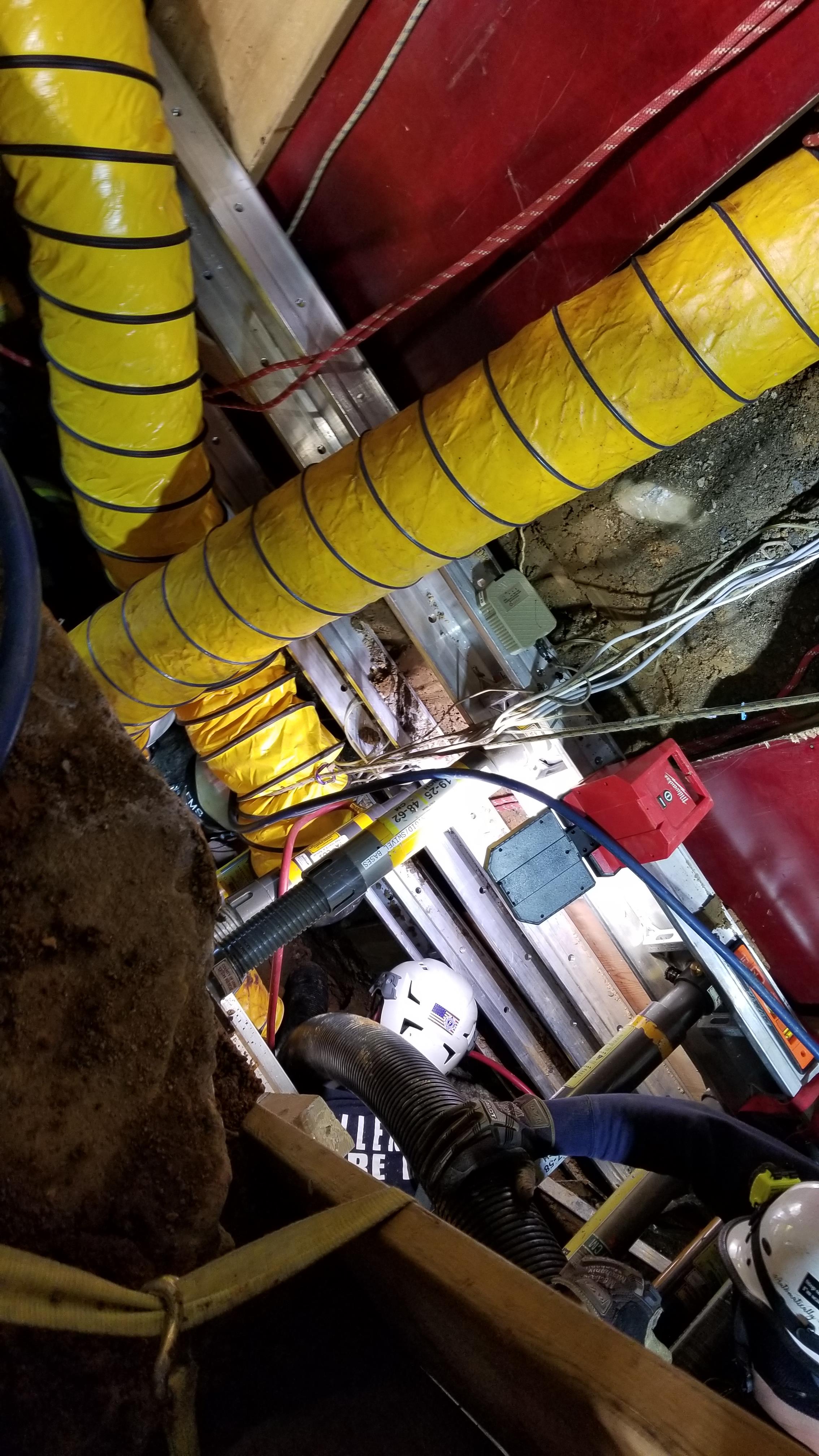 Gordon Street Rescue